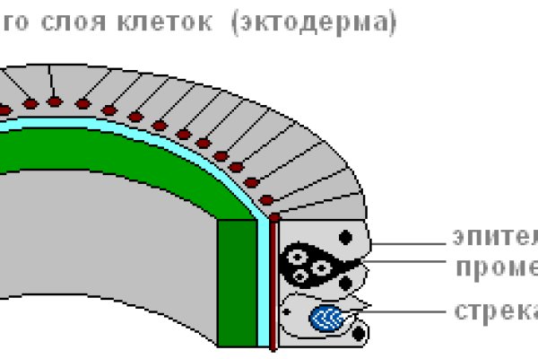 Настоящая ссылка на кракен