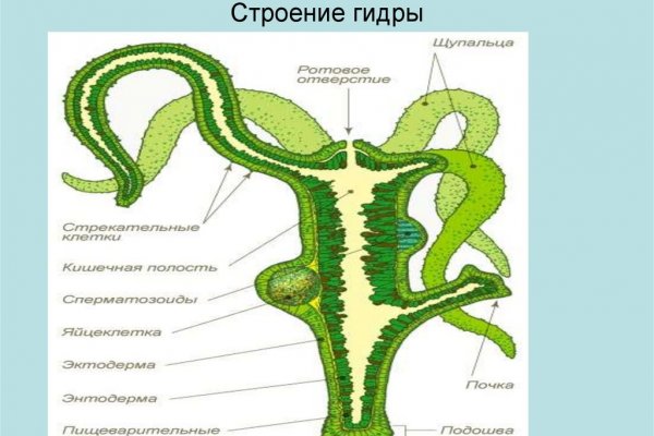 Кракен настоящее зеркало