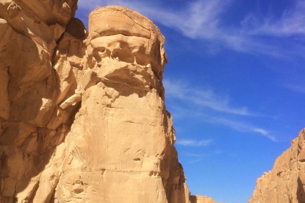 Кракен даркнет отзывы