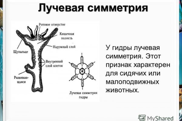 Площадки в даркнете